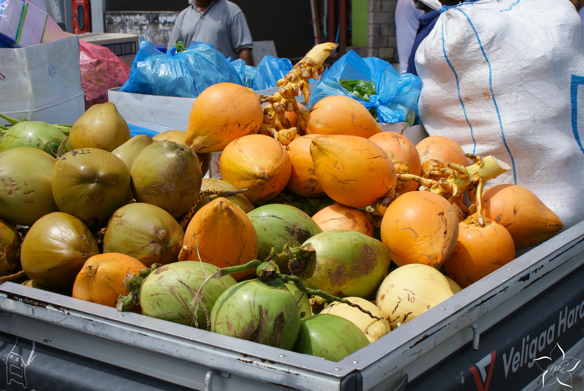 maldivian coconuts