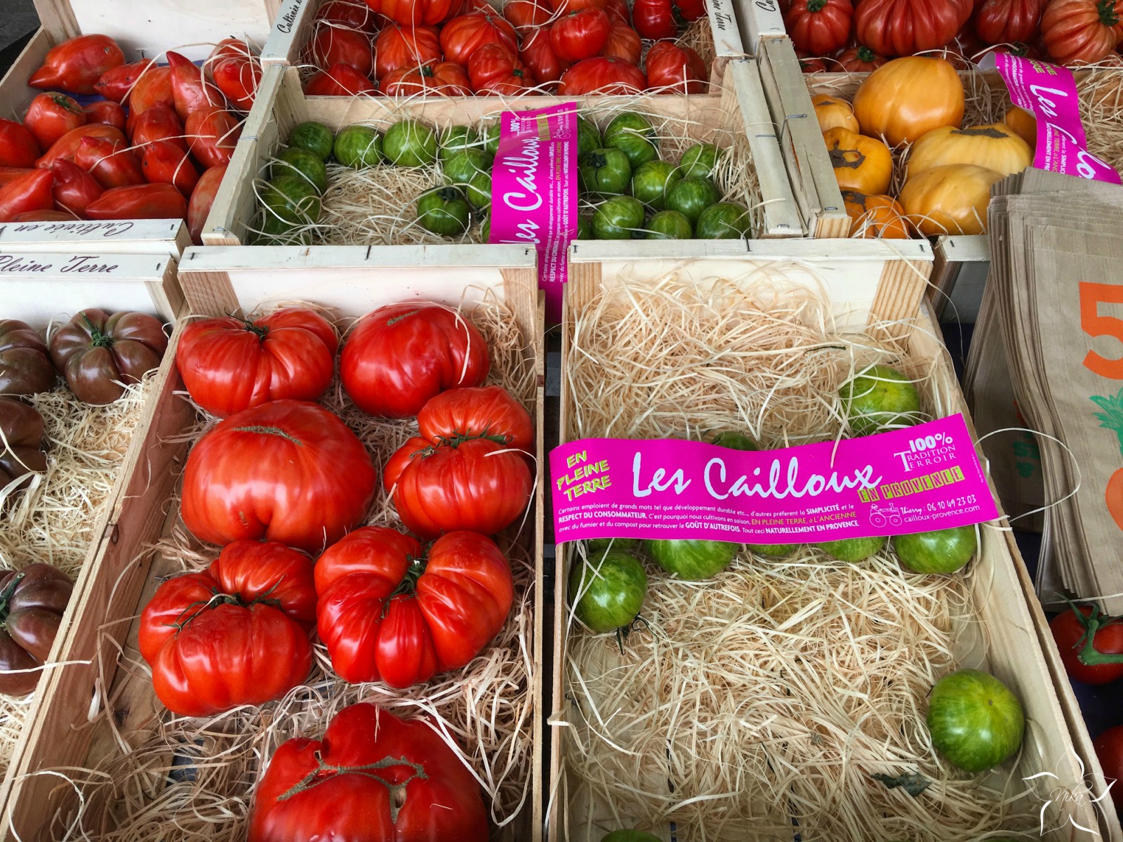 paradajky francuzsko trh