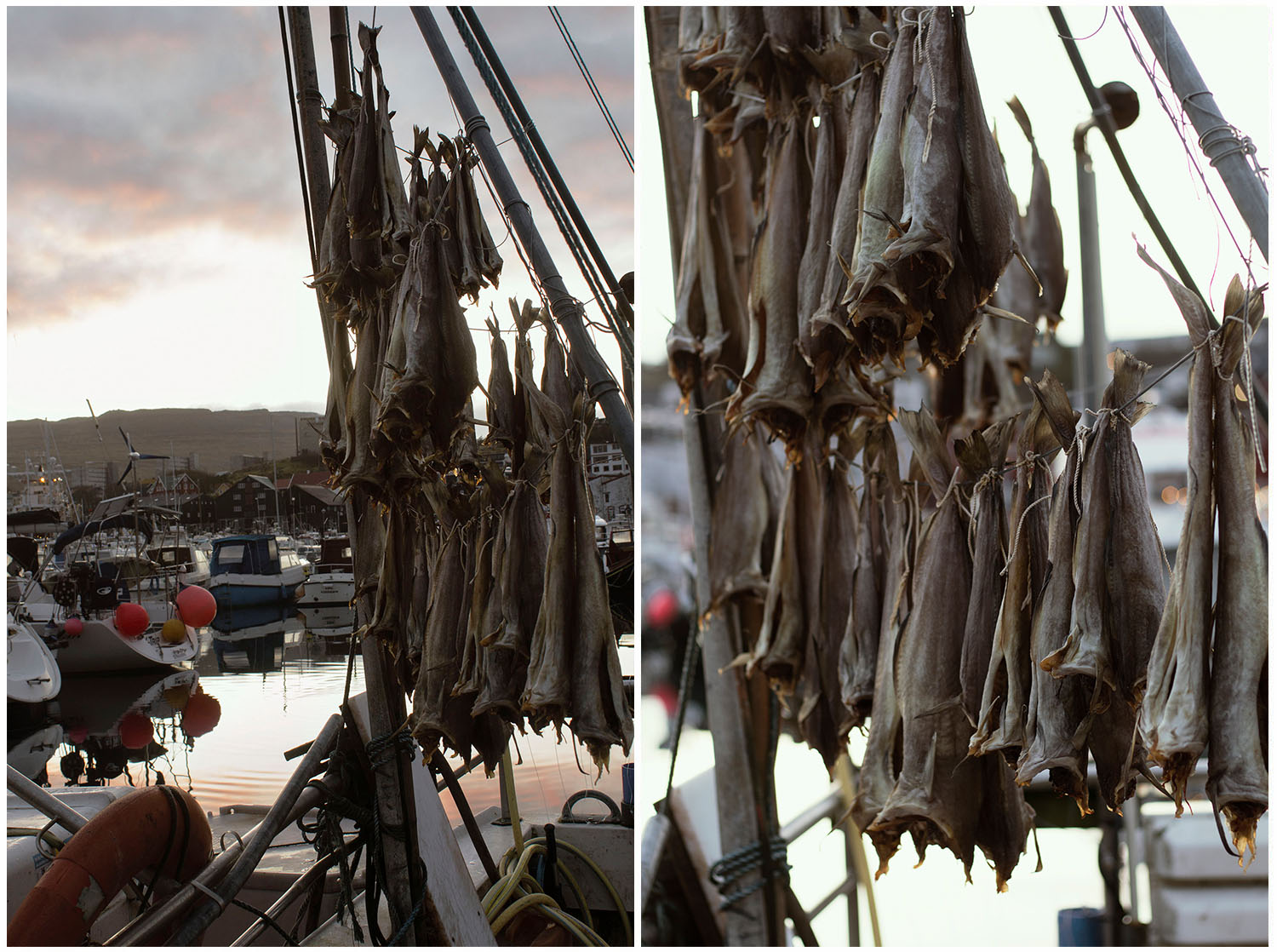 Ostrov Streymoy - sušenie rýb v hlavnom meste Tórshavn